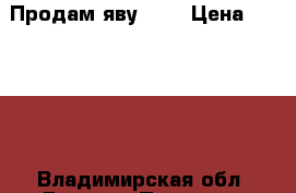 Продам яву 638 › Цена ­ 35 000 - Владимирская обл. Другое » Продам   
